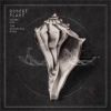 Robert Plant - Lullaby &… The Ceaseless Roar - CD